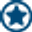 🌐