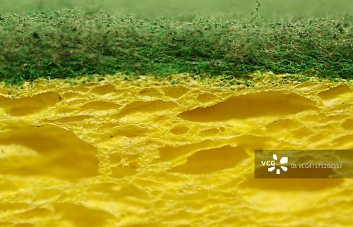 一半一半图片素材