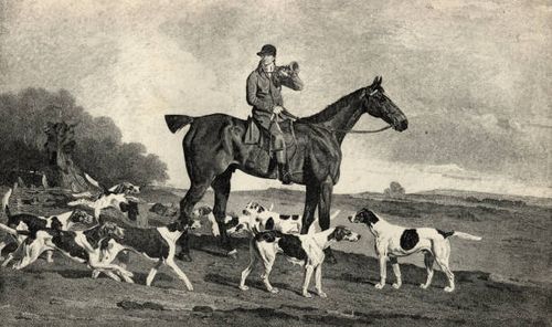 thomas oldaker, twenty six years huntsman to the berkeley hounds, on his favorite hunter brush - fox hunt stock illustrations