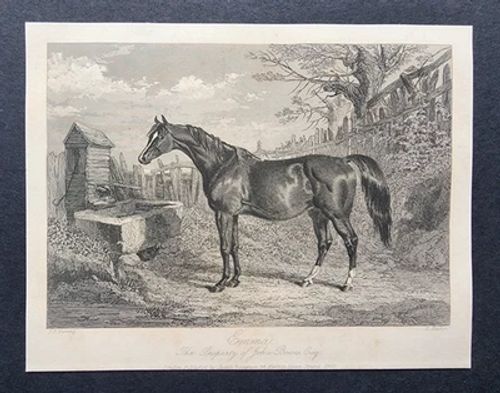 Antique 1845 Print - Horse - Emma - John Bowes - JF Herring engraving - Image 1 of 3