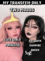 Trans Meme Mini-Dump #4 - Album on Imgur