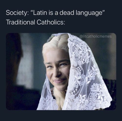 Catholic Memes Funny About Life, Catholic Funny, Catholic Humor Meme, Latin Mass Meme, Funny Catholic Memes, Catholic Cat Meme Funny, Roman Catholic Memes, Catholic Problems Meme, Traditional Catholic Memes