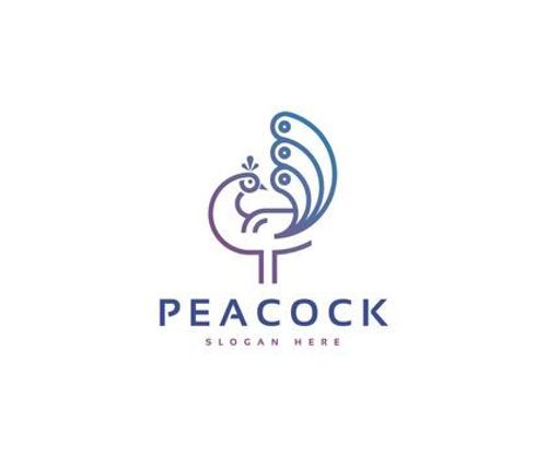 Minimal Peacock Logo vector