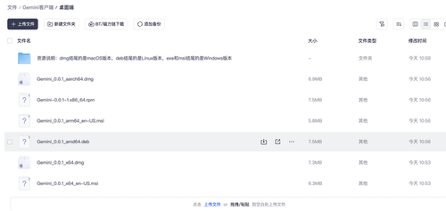 刚刚，Gemini客户端完成！全平台可用，这次真的方便了