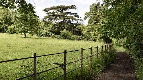 South Watermeadows Walk, Sherborne Park Estate