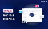 What Is An SEO Spider And What Does It Do?