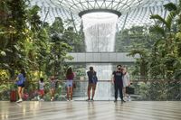 World's Best Airports 2024: Singapore Changi Loses Crown to Qatar's Doha Hamad - Bloomberg