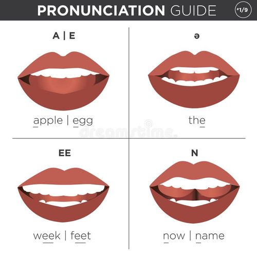 Visual pronunciation guide with mouth showing correct way to pronounce English sounds. Mouth pronunciation vectors