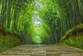 国庆成都近郊旅游好去处推荐