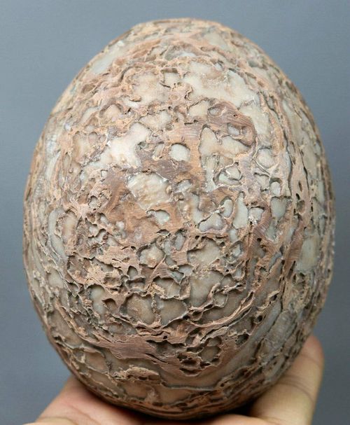 Segnosaur Dinosaur Egg Fossilized Crystallized Fossil Jurassic Cretaceous 3.86lb