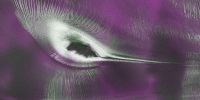 This satellite image of a 'hummingbird' isn't what you think - USA Today