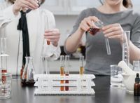 About - Endless West