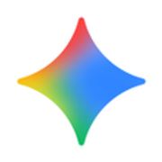 程序图标: Gemini