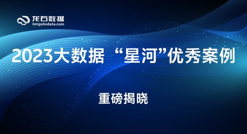 “星河”案例！龙石数据再创佳绩