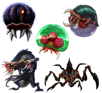 Metroid (species) | Wikitroid | Fandom