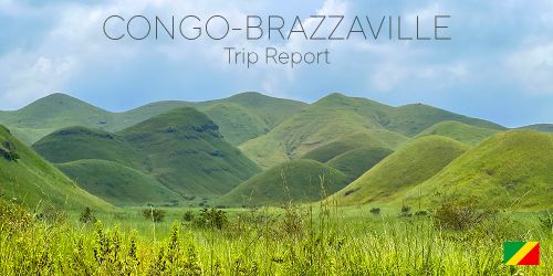Angola to Congo-Brazzaville Family Road Trip