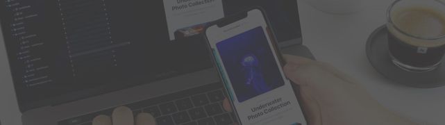 How to use React-Native-Vector-Icons to add custom icons to a React-Native App