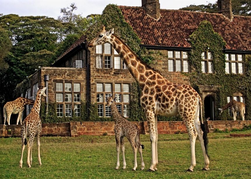 Lodges in East Africa
