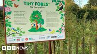 Article Thumbnail