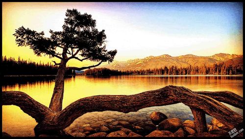 家里有矿是什么梗？家里有矿是什么意思？家里有矿下一句怎么说？