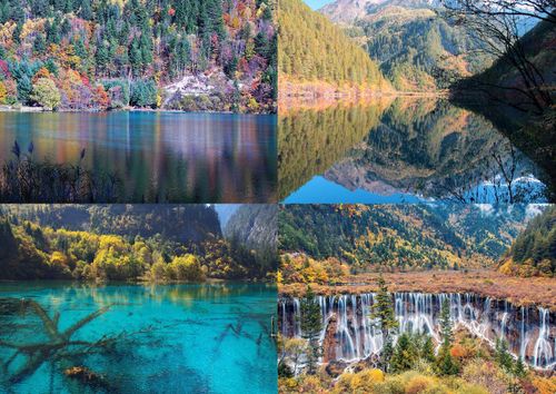 Vibrant lakes of Jiuzhaigou Valley