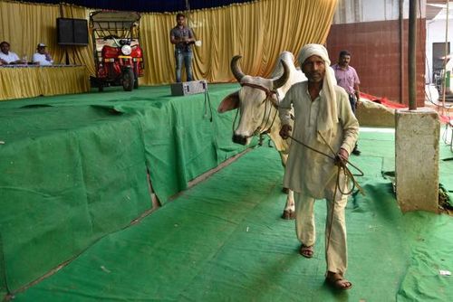 An animal cart owner with his bull to receive an e-rickshaw during an event, initiated by Animal Rahat - an NGO dedicated to make a difference in the...