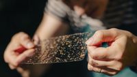 Why can’t we just get rid of mosquitoes? One fed-up community is trying - CNN