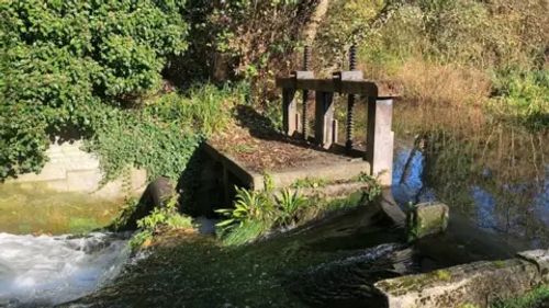 Arundel Mill Ponds