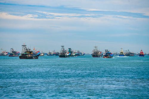 Fishing boats in Hainan Province