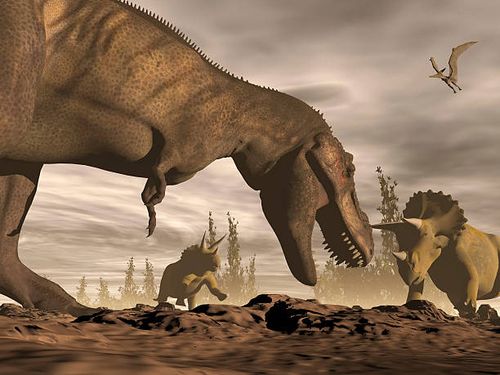 tyrannosaurus rex roaring at two triceratops on rocky terrain. - dinosaurs fighting stock illustrations