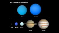 Beyond the Gas Giant: What 'Cotton Candy' Planets Tell Us About Stellar Nursery Physics