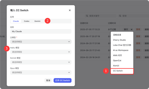 填入 CC Switch 弹窗