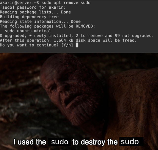 MEME: sudo apt remove sudo (I used the sudo to destroy the sudo)