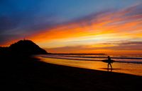 The most prestigious non-governmental surf organizations