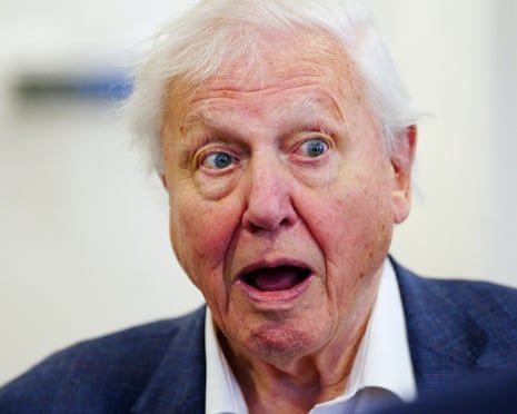 david attenborough