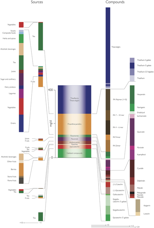 main types and sources of flavonoids consumed by adults 18 to 64 years in the european union