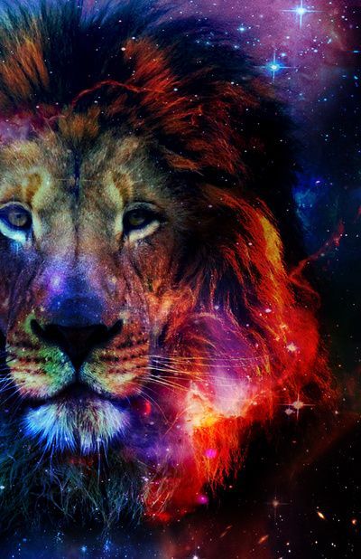 an image of a lion in the space