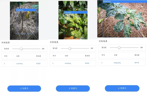 海量免费教育资源+强大硬件配置 , 让 AI 教育与实战接轨-Gitee 官方博客