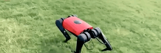 冲上热搜的这款国产“阿法狗”，究竟是什么来头？