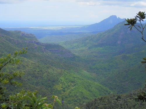 Black River Gorges National Park