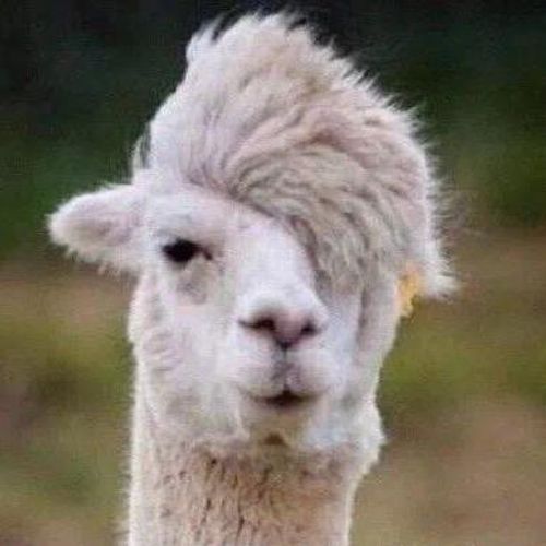 View hcolde's full-sized avatar