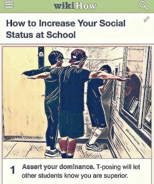 r/TPoseMemes - T-POSE TO ASSERT DOMINANCE