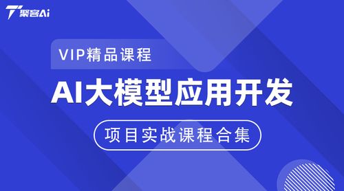 AI大模型应用开发项目实战课程合集