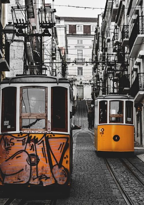 Free Lisbon Trams photo and picture