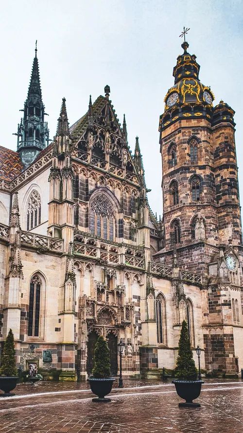 St. Elisabeth Cathedral