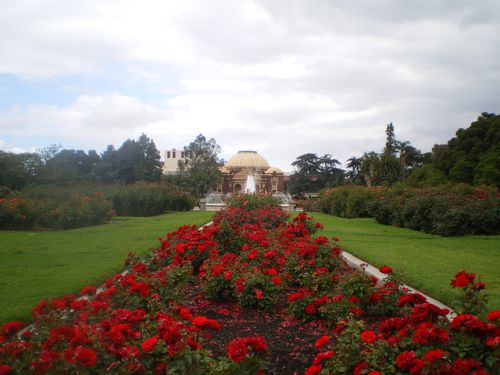 Exposition Park Rose Garden