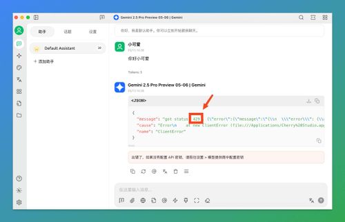 Gemini 2.5 Pro API 429 错误 - Cherry Studio