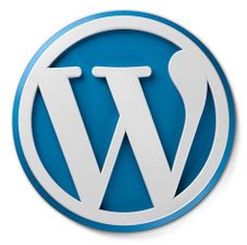 A detailed explanation of how to configure a WordPress installation