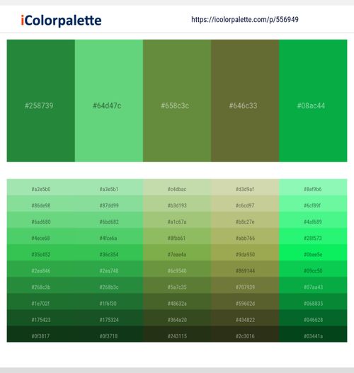 556949Forest Green – Pastel Green – Fern Green – Costa Del Sol – Green Haze Color scheme