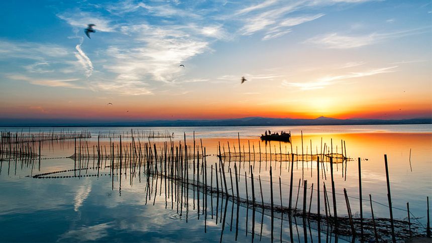 Albufera Natural Park Tour